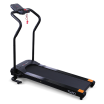   CARBON FITNESS T120 -     - 