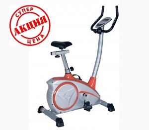  FITEX Bingo   s-dostavka -     - 